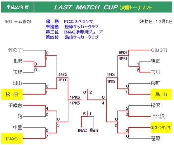 2015 LAST MATCH CUP